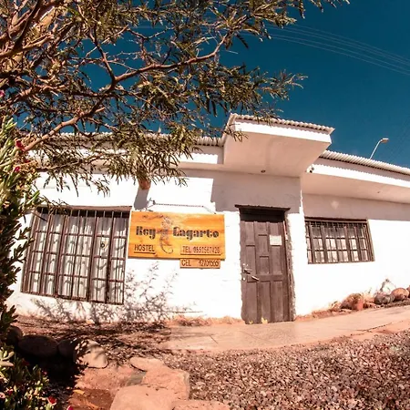 Rey Lagarto Hostel-2