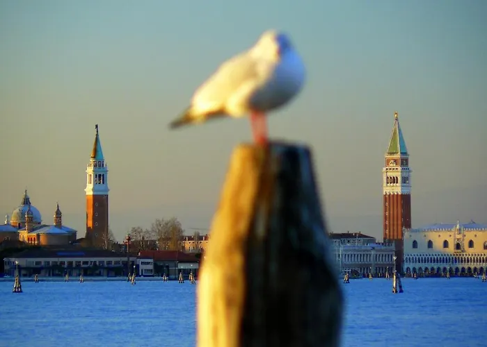 Villa Venice Movie Lido di Venezia