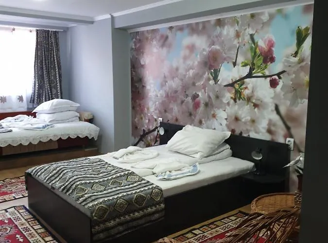 Vila Muntii Bucegi & Spa Bran 