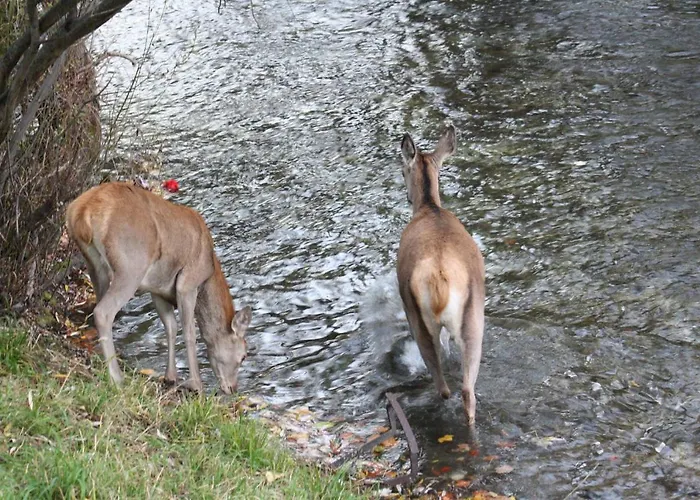 Il rifugio nel parco