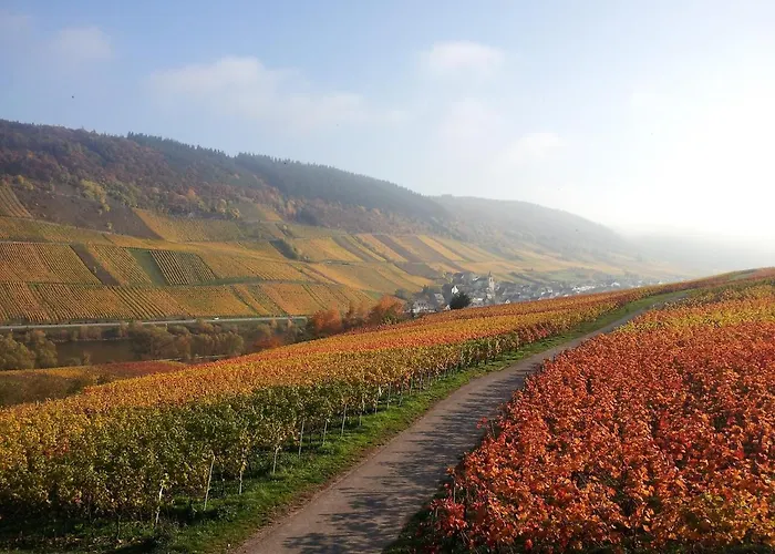 Weingut-Brennerei-Gästehaus Emil Dauns Reil