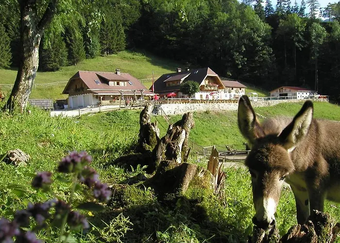 Ferienwohnung Hochsteinalm
