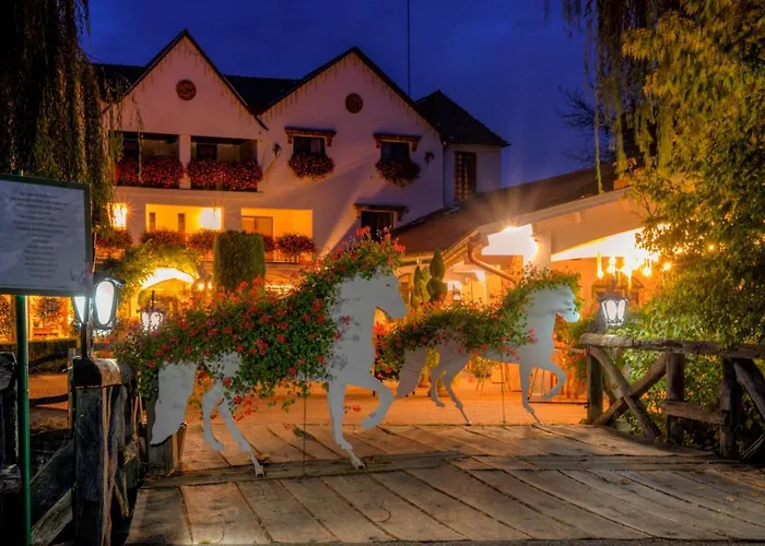 Hotel Domeniul Dracula Daneş