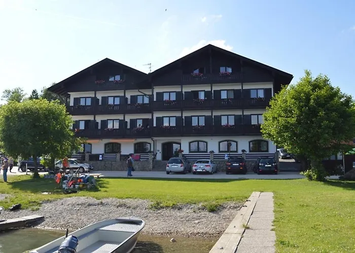 Grünäugl Am