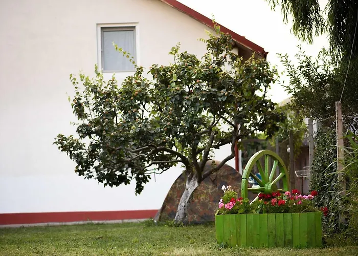 Vila Toate Panzele Sus Corbu 
