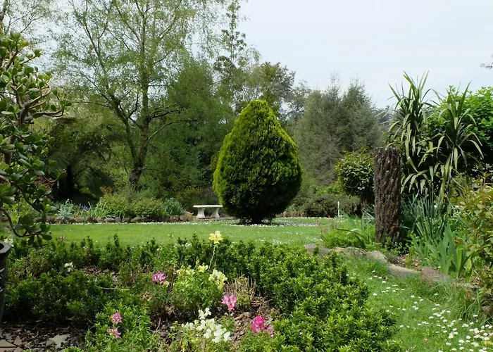 Braeside Bliss
