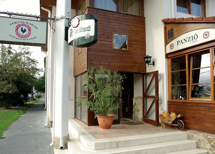 Il Gallo Nero - Fekete Kakas Étterem és Panzió Szombathely