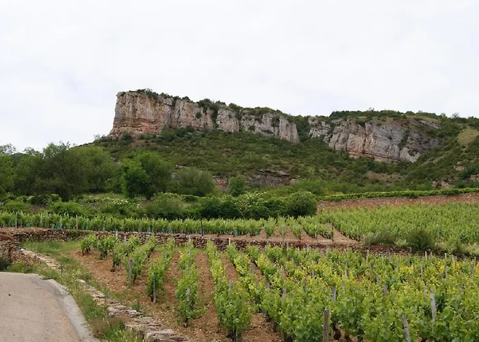 le Chaumois