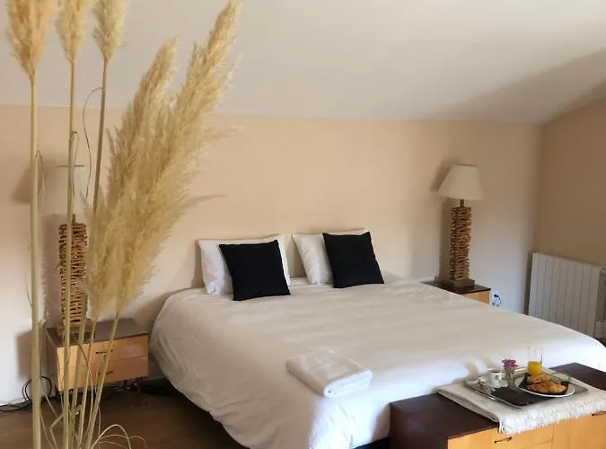 La Belle Epoque - Chambres D'Hotes & Spa Damvix