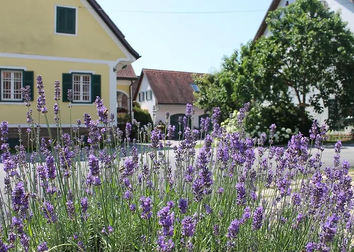Farmer-Rabensteiner