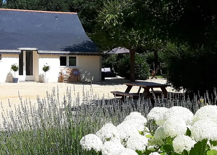Chateau La Mothaye - Self Catering Apartments With Pool In The Loire Valley Les Bois-d'Anjou