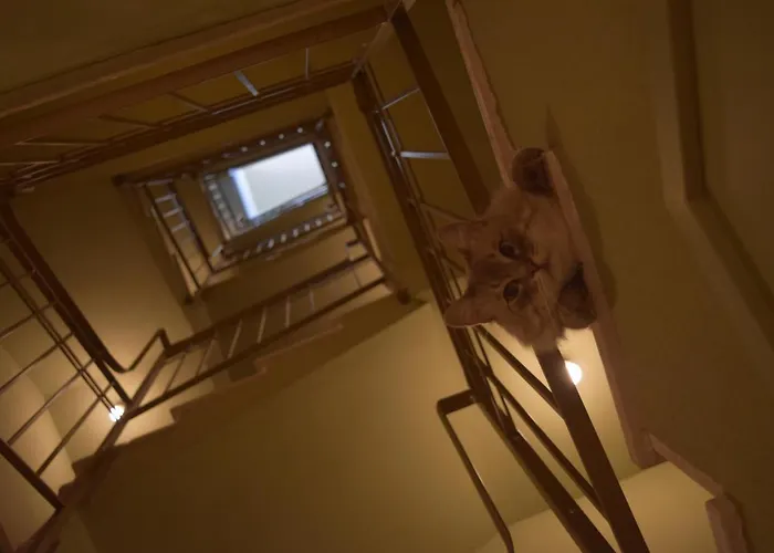Le Rossi Bed