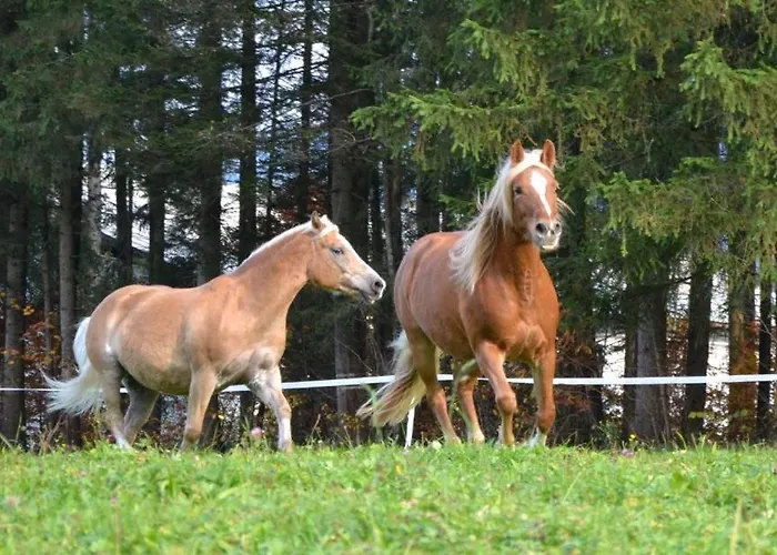 Mooserlehen Bischofswiesen