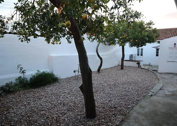Casa Do Tio Ze