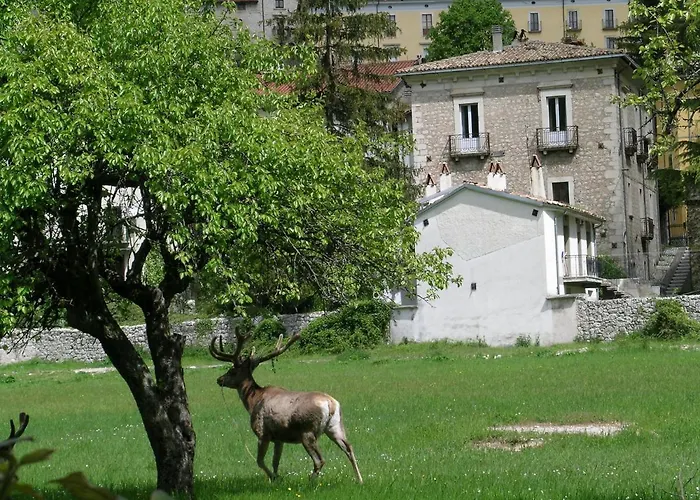 Les Chalets B&B