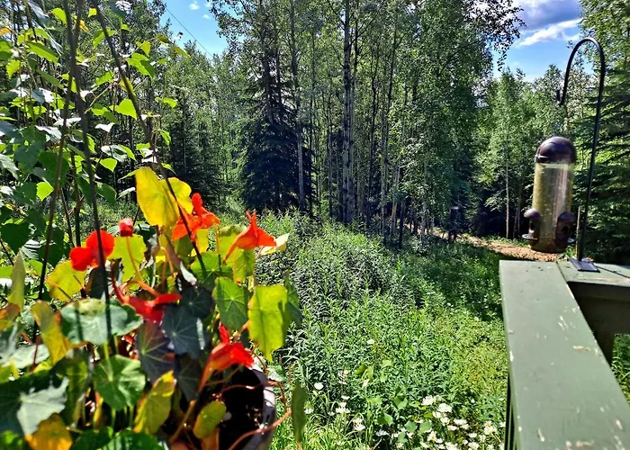 Northwoods Cottage Bed And Breakfast Fairbanks