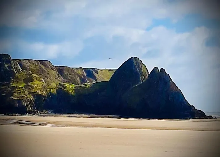 Patricks Boathouse Hotel Swansea