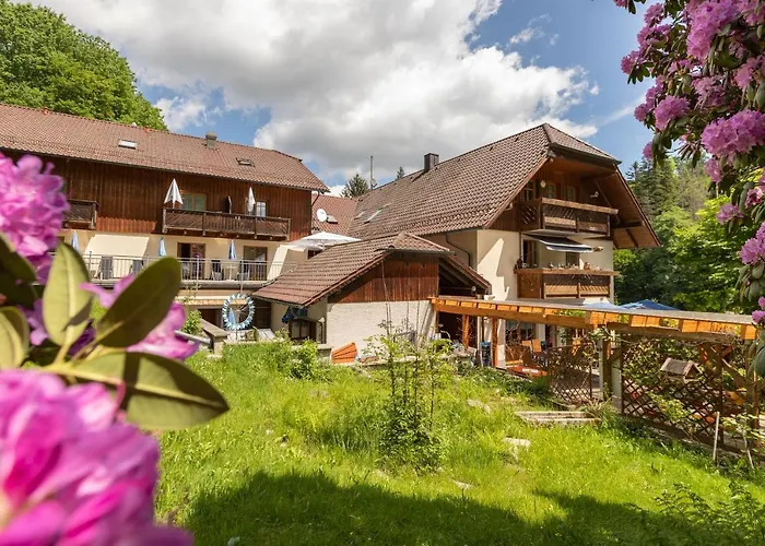 Zur Triftsperre Hotel Passau