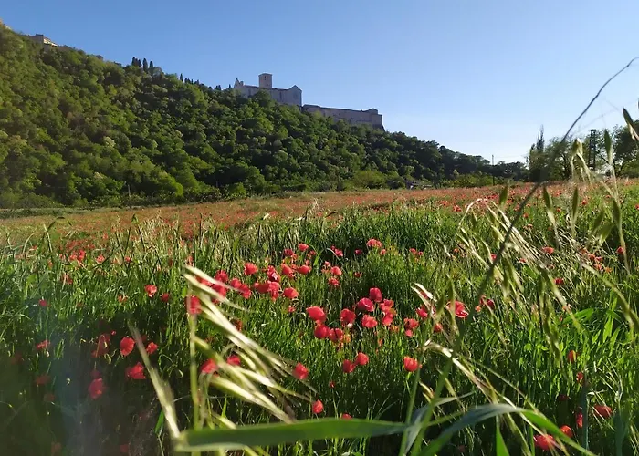 Camere le cascatelle Assisi