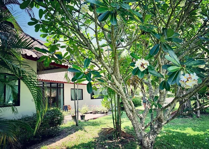 La Maison - Chiangmai