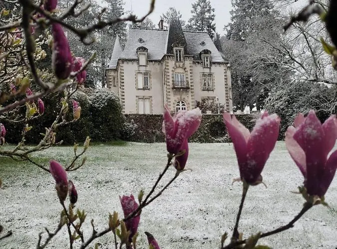 Chateau Maleplane