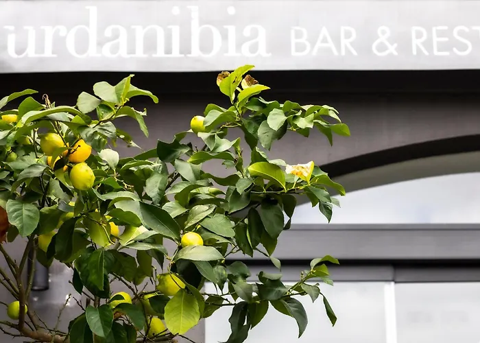 Hotel Urdanibia Park