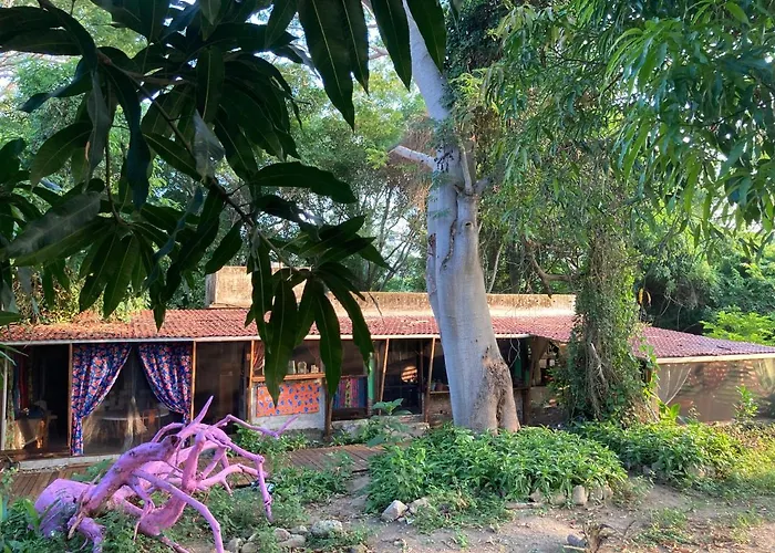 Planta Farm - Jungle Stay Santa María Huatulco