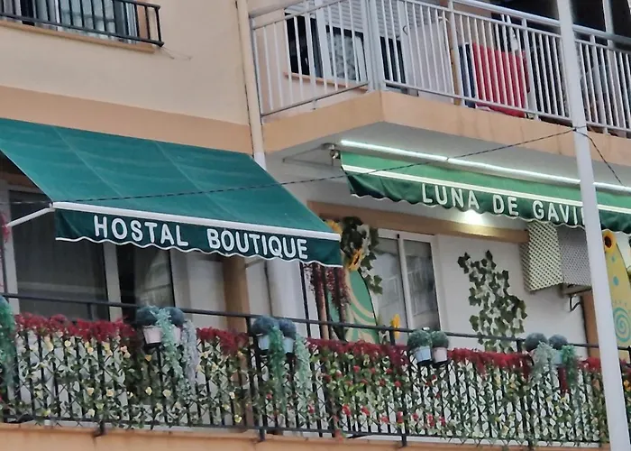Hostal Boutique Luna de Gavín Cullera