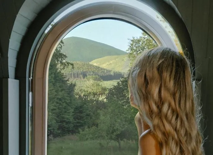 Enniskeen Estate & Forest Spa - Boutique Riverside Glamping Cabins