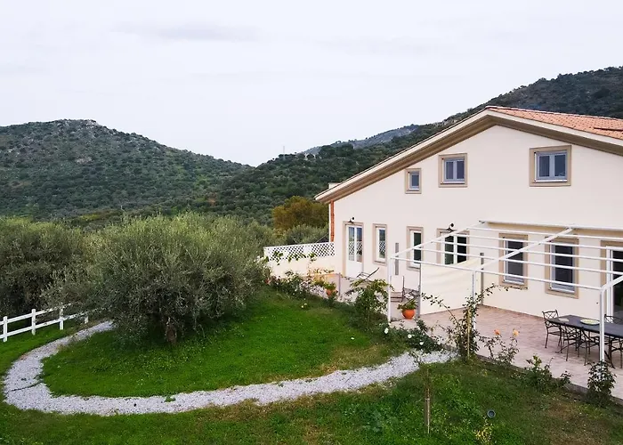 L'Albero Della Manna