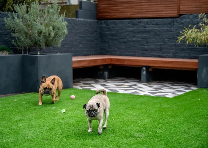 Doghouse Margate