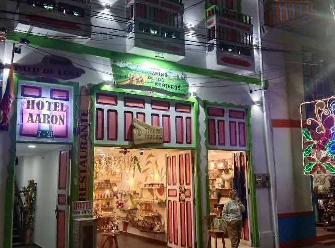 Hotel Aaron Filandia