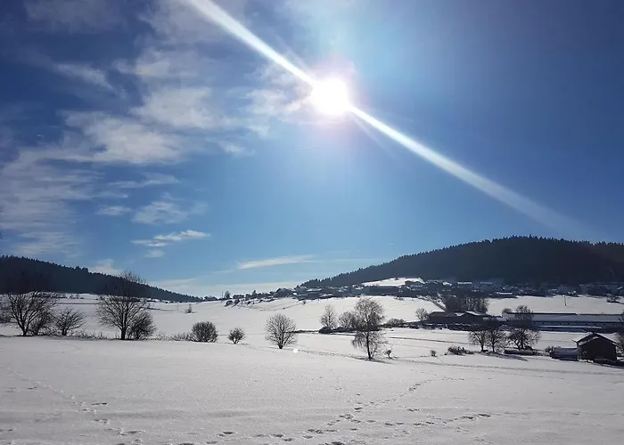 Pension Zum Schmidbäcker Freyung