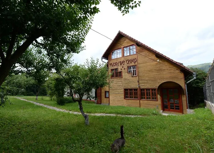 Pensiunea Flori De Camp