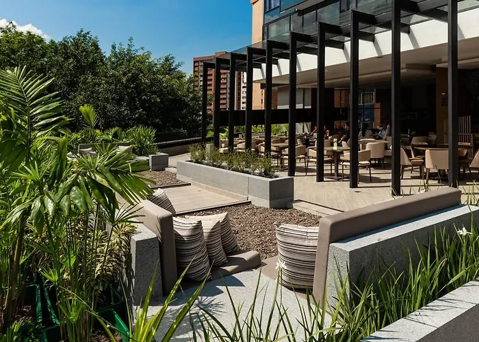 York Medellin, Curio Collection By Hilton