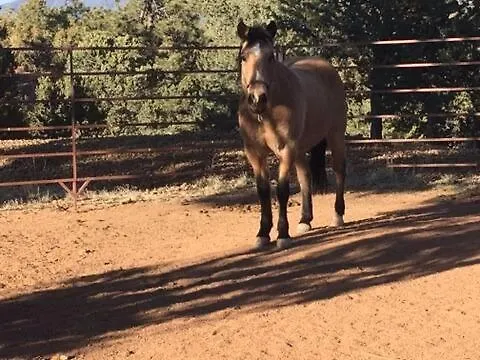 Casita Luna