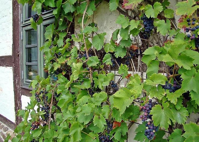 Alte Ausspanne