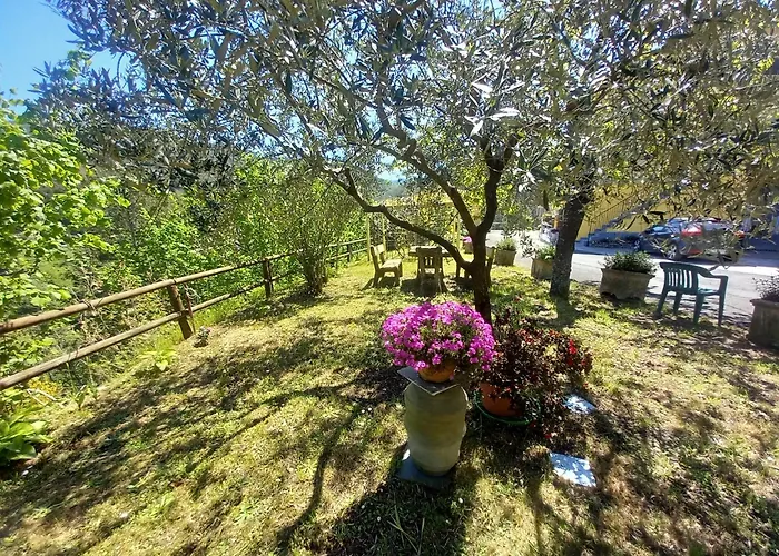 Il Giardino dei Pavoni