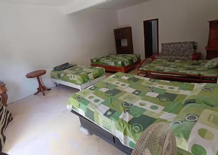 Hotel Casa la jungla Miacatlán