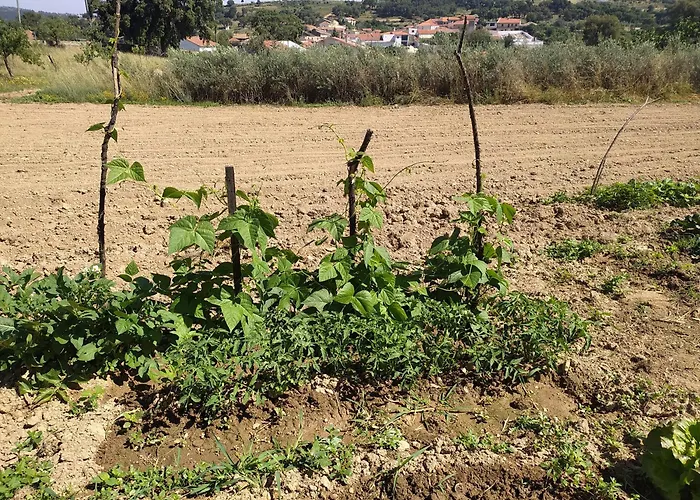 Vivenda Das Eiras