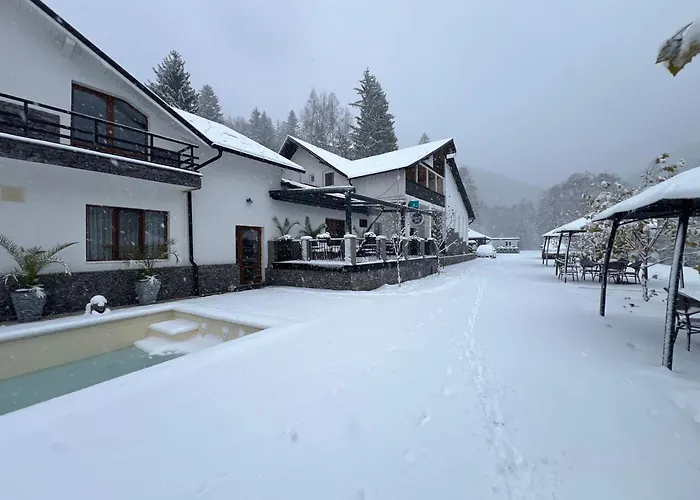 Vila Casa Cu Tei Lupeni 