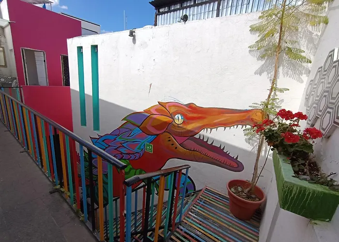 Monkey Safari Hostel Querétaro