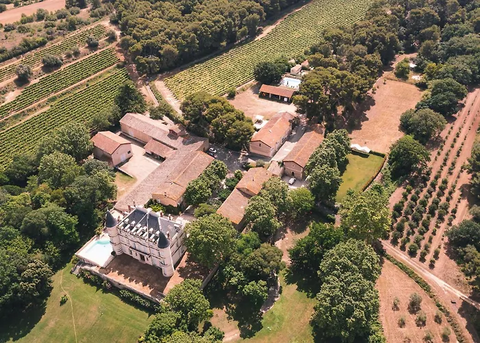 Chateau Saint Martin De Graves Aumes