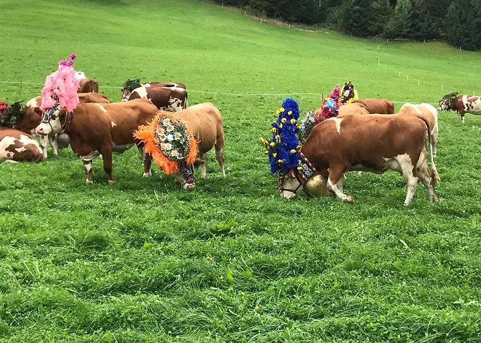 Au Pension Söll