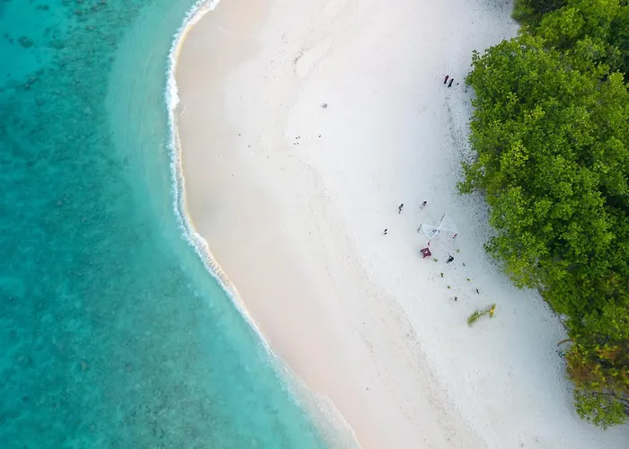 Beach Veli