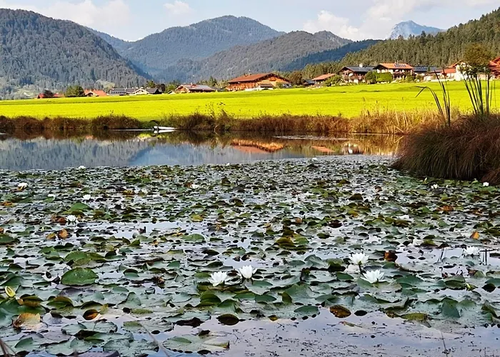 Knapphof Reit im Winkl