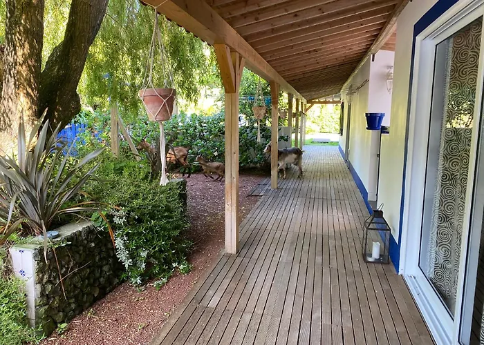 Quinta Dos Bravos Hotel Pico da Pedra