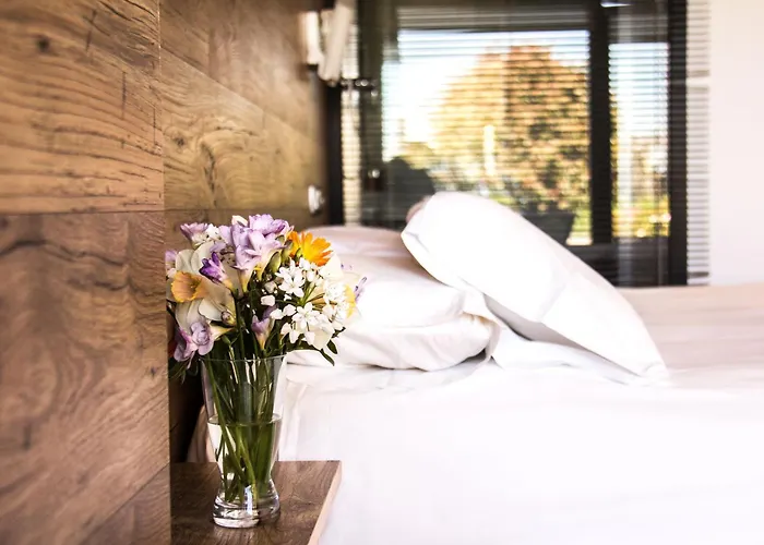 Agroturismo Haitzalde B&B - Adults Only Mutriku