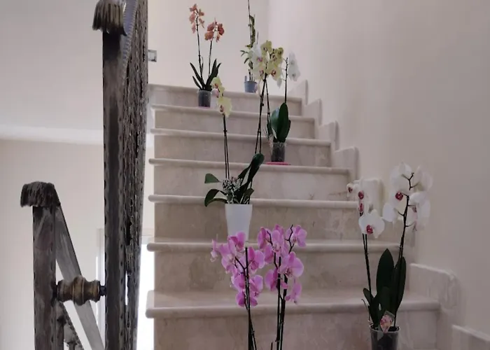 Hotel Daphnae House Palma di Montechiaro