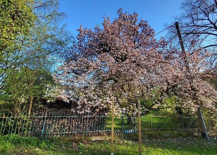 Bergischer Hof - Bergischer Hofgarten